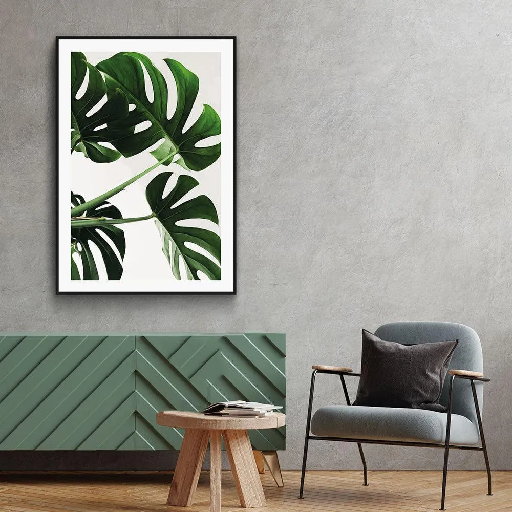 Monstera Leaves