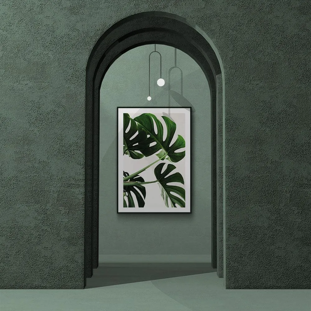 Monstera Leaves