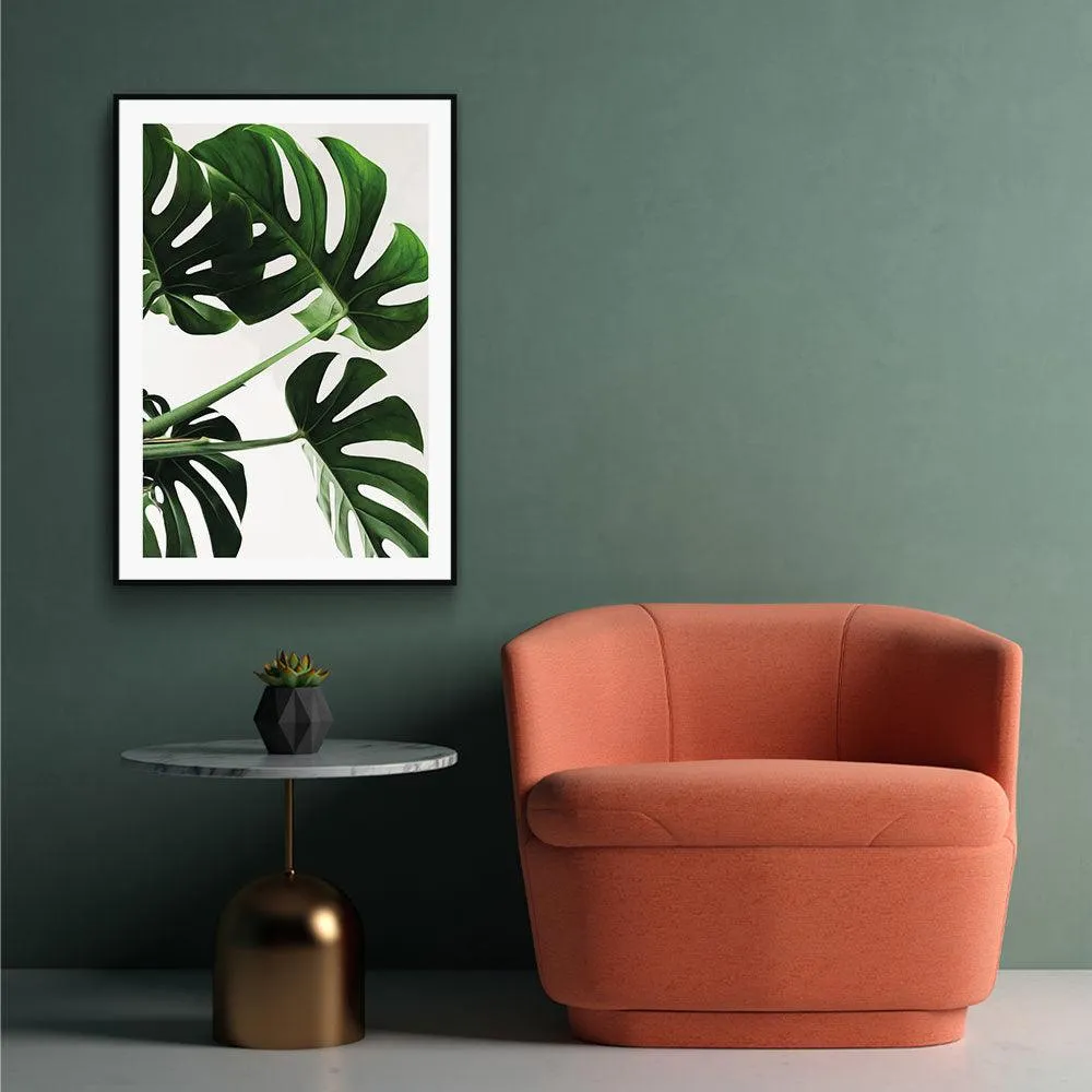 Monstera Leaves